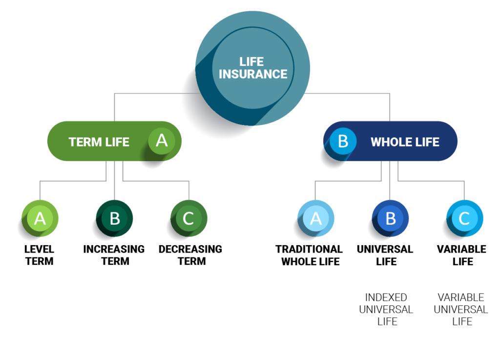 Types of term and whole insurance.